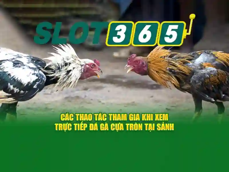 slot365. Khám phá giá trị thương hiệu và trải nghiệm slot365
