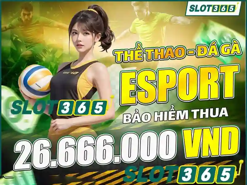 Code Slot365 mới nhất: Từ nguồn gốc đến trải nghiệm