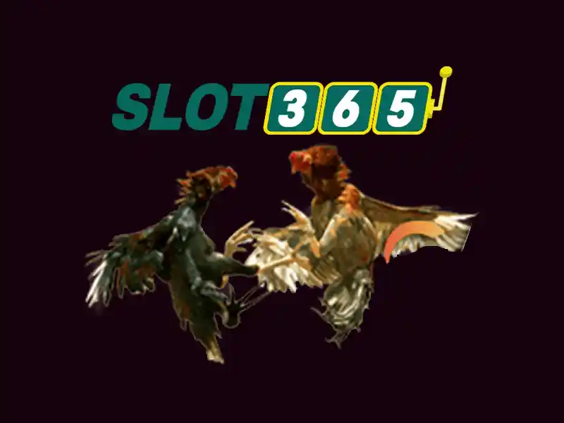 slot365 apk: Trải nghiệm đỉnh cao cho slot365 game