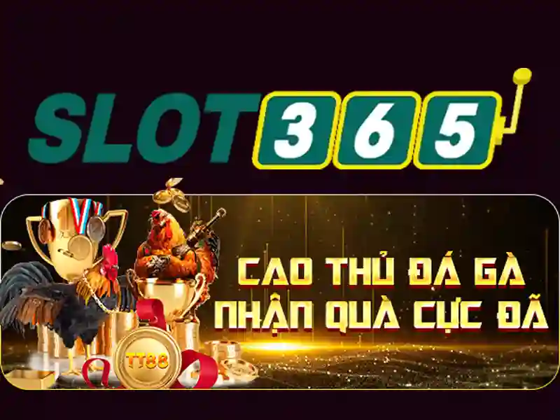 Slot365 uy tín không - Đánh giá và trải nghiệm tổng quan
